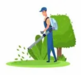 🧹 Exterior Tidy